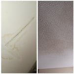 celing repair and paint job