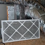 Whole Home & Crawlspace