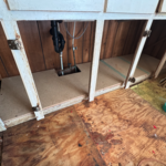 After Replacement