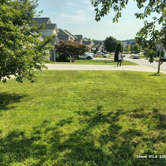 Lawn Care