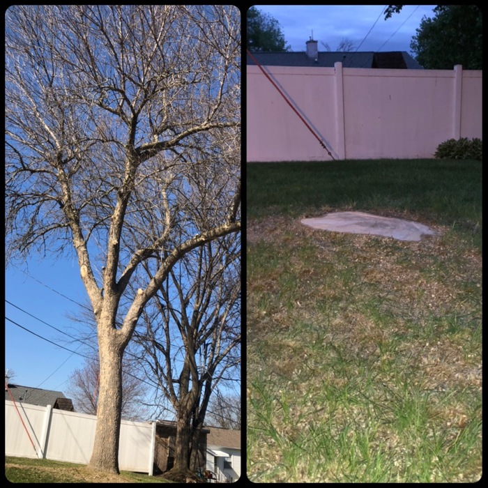 Additional Photos