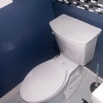 Bathroom toilet and sink