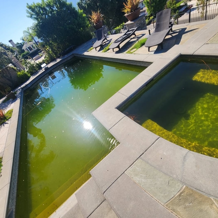 Green Pool Before