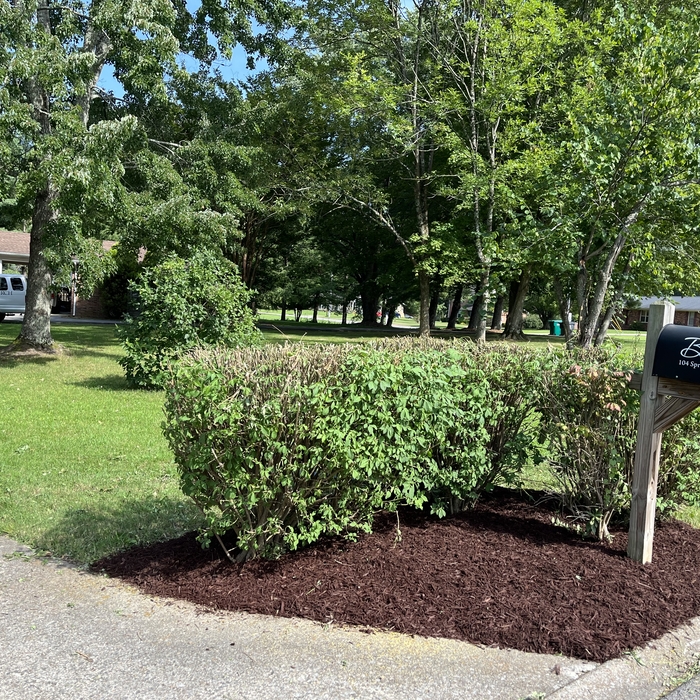 Additional Photos