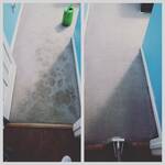 Carpet cleaning with pet treatment