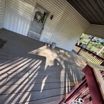 Deck painting