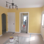 Home repaint (Int/Ext)