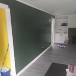 Home repaint (Int/Ext)