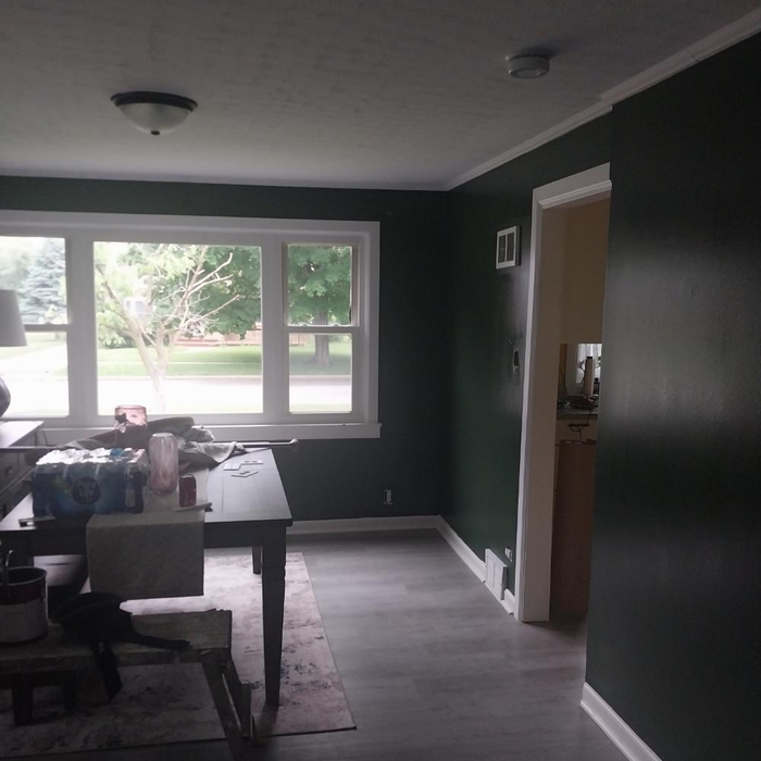 Home repaint (Int/Ext)