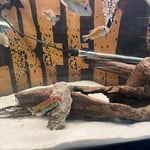 Additional Photos