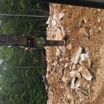 Hammering Ledge