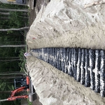 Septic installation