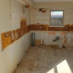 Kitchen mold remediation