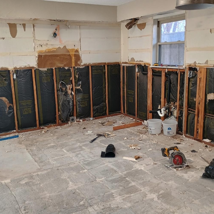 Kitchen mold remediation