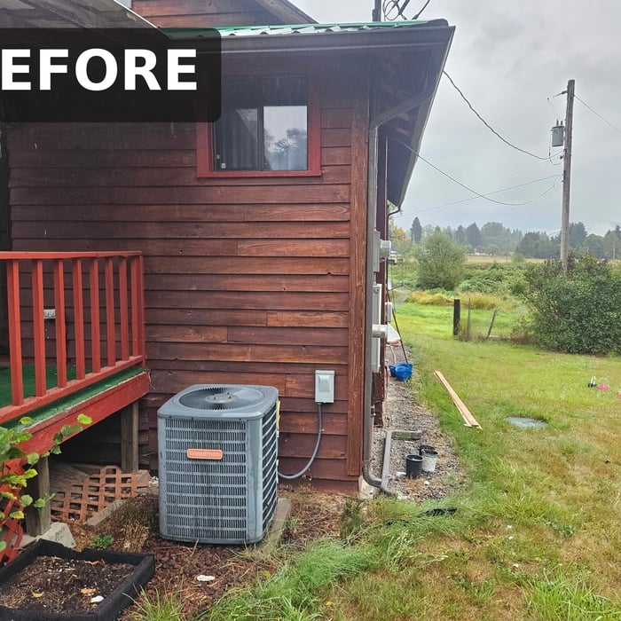 Before Photo
