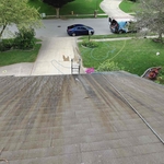 Roof cleaning
