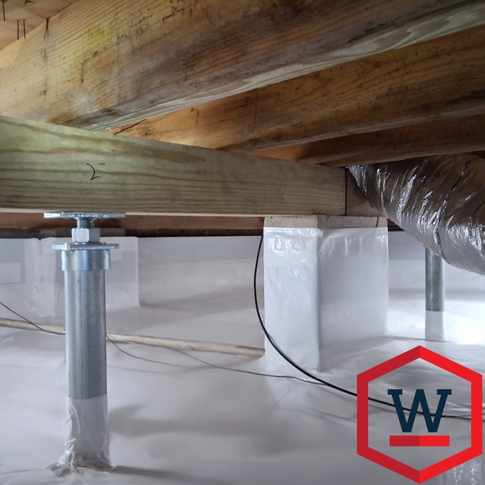 Crawlspace Doors