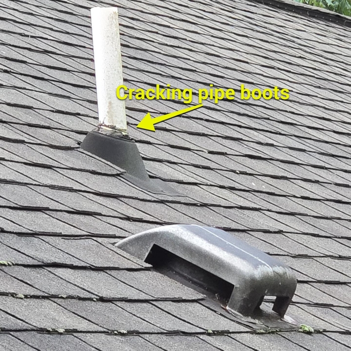 Roof treatment & Tune-up