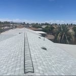 Our project