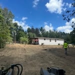 Tree removal