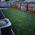 Sod/Irrigation, mulch