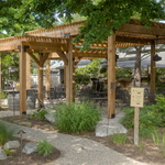 Cedar Pergola