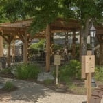 Cedar Pergola