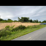 Land clearing
