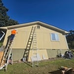 Siding and paint
