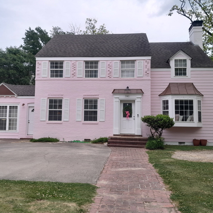 The Pink House