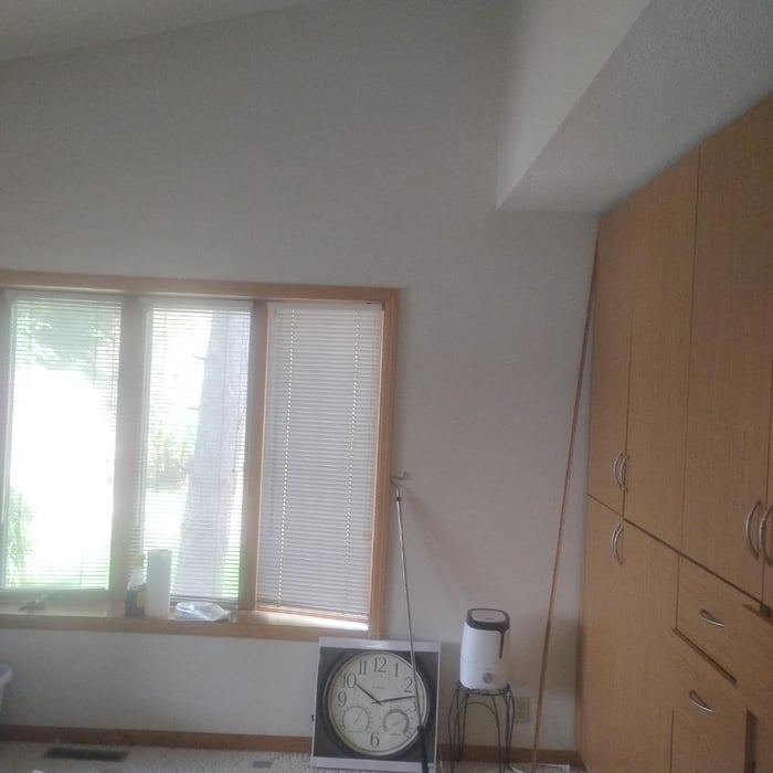 Whole house painting