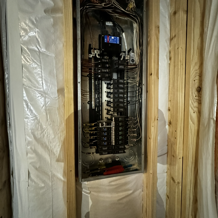 Panel upgrade and remodel