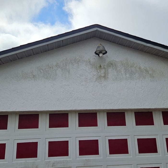 Dirty Walls