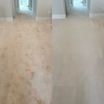 Carpet Cleaning