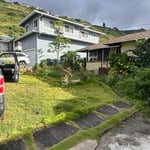 Yard clean up