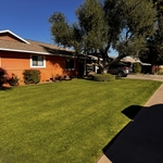 Lawn