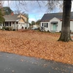 Full Service Leaf Removal