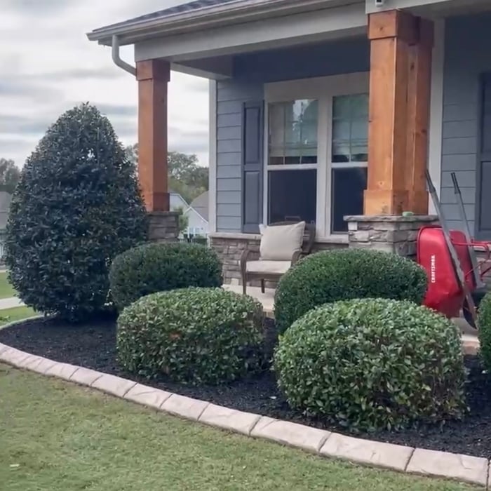 Hedge & Bush Trimming