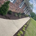 Project