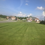 Lawn