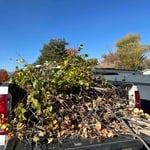 Fall Trimming Cleanup