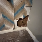 drywall repair and paint