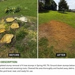 Spring Hill Project
