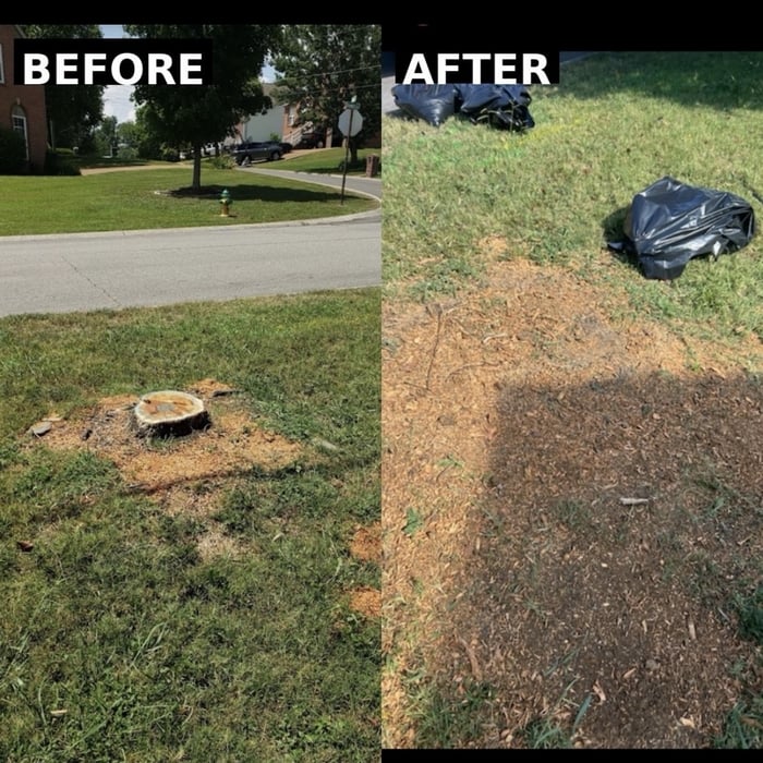 Project in Hendersonville