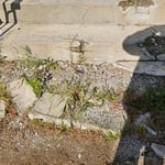 Front steps