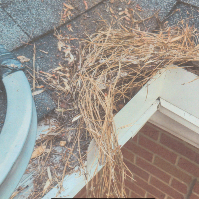 Cleaning Gutter's