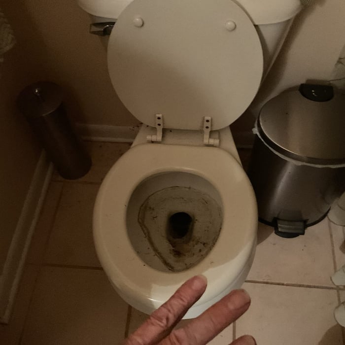 Bluefrog Plumbing + Drain of Brandon