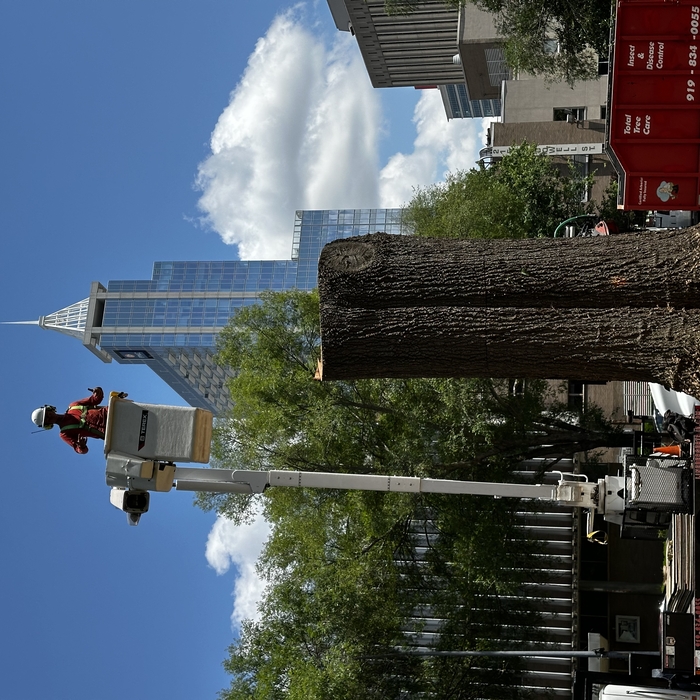 Raleigh Skyline