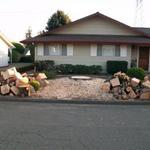 Prior to stump removal