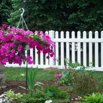 Picket Fence